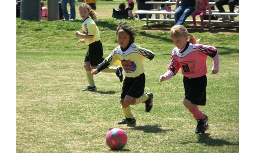 Spring 2013 Soccer